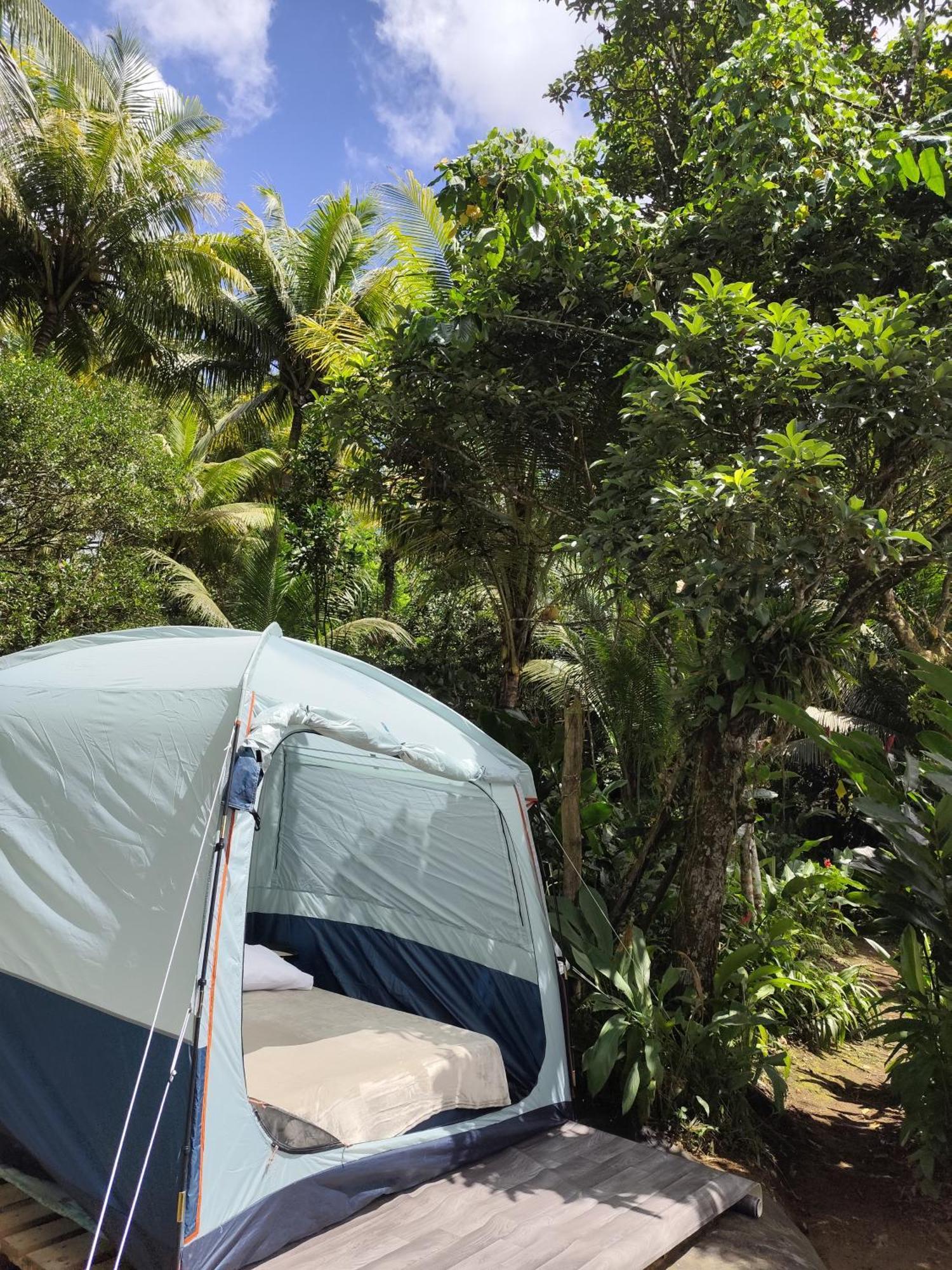 Camping A La Ferme Gros-Morne 外观 照片
