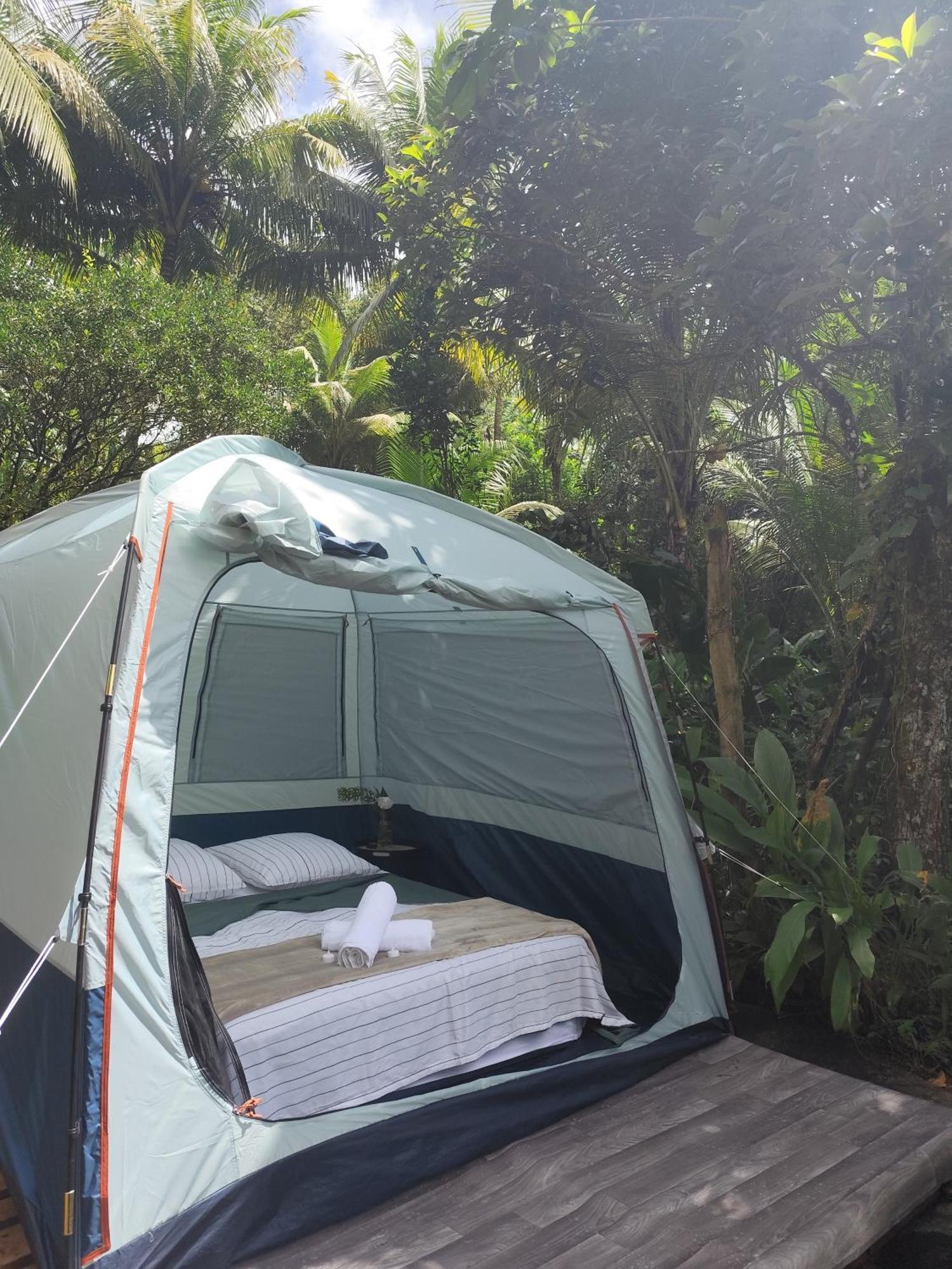 Camping A La Ferme Gros-Morne 外观 照片