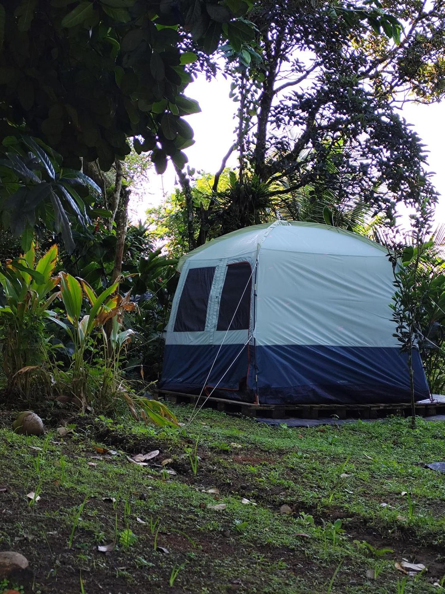 Camping A La Ferme Gros-Morne 外观 照片